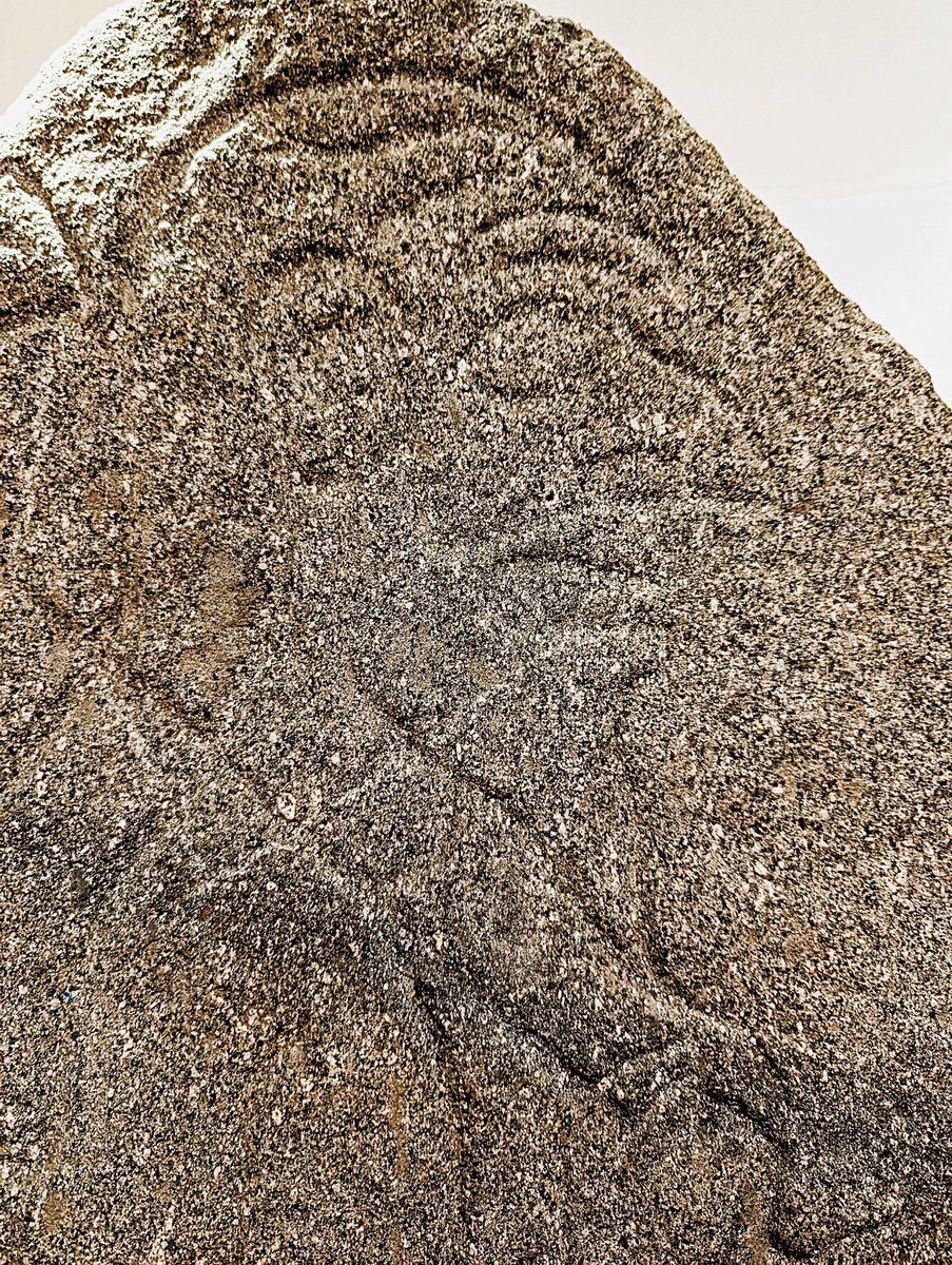 tourbritain's tweet image. This afternoon, I am reporting on the #Picts, elusive early inhabitants of #Scotland who have left a legacy of elaborate #stone #carvings, particularly in central and eastern Scotland:nigelsphotoblog.co.uk/2020/01/the-pi…