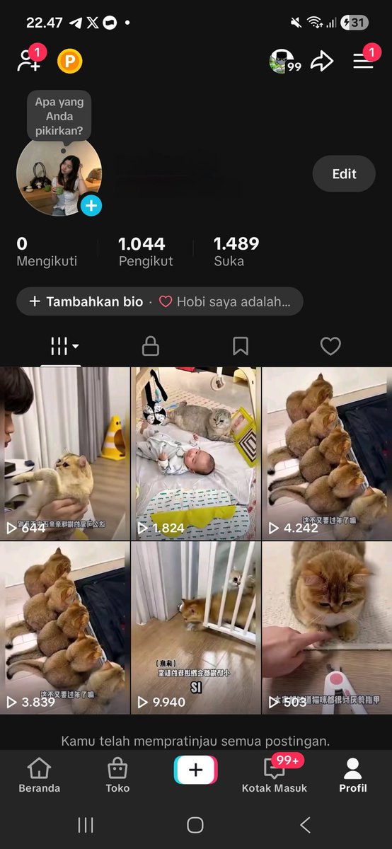 chevva, jual akun ig & tiktok tweet media