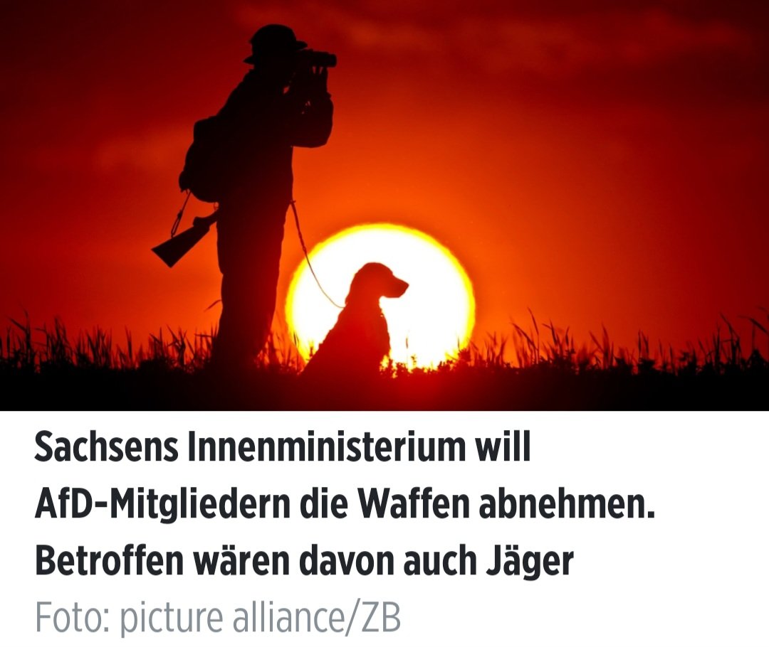 MattKoe tweet media