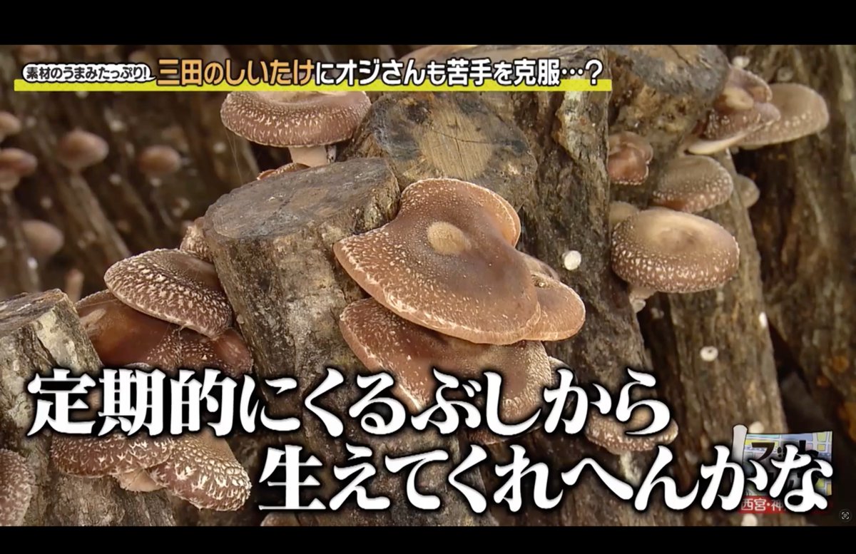 【公式】フットマップ~いつでも使えるガイドマップ~ tweet media