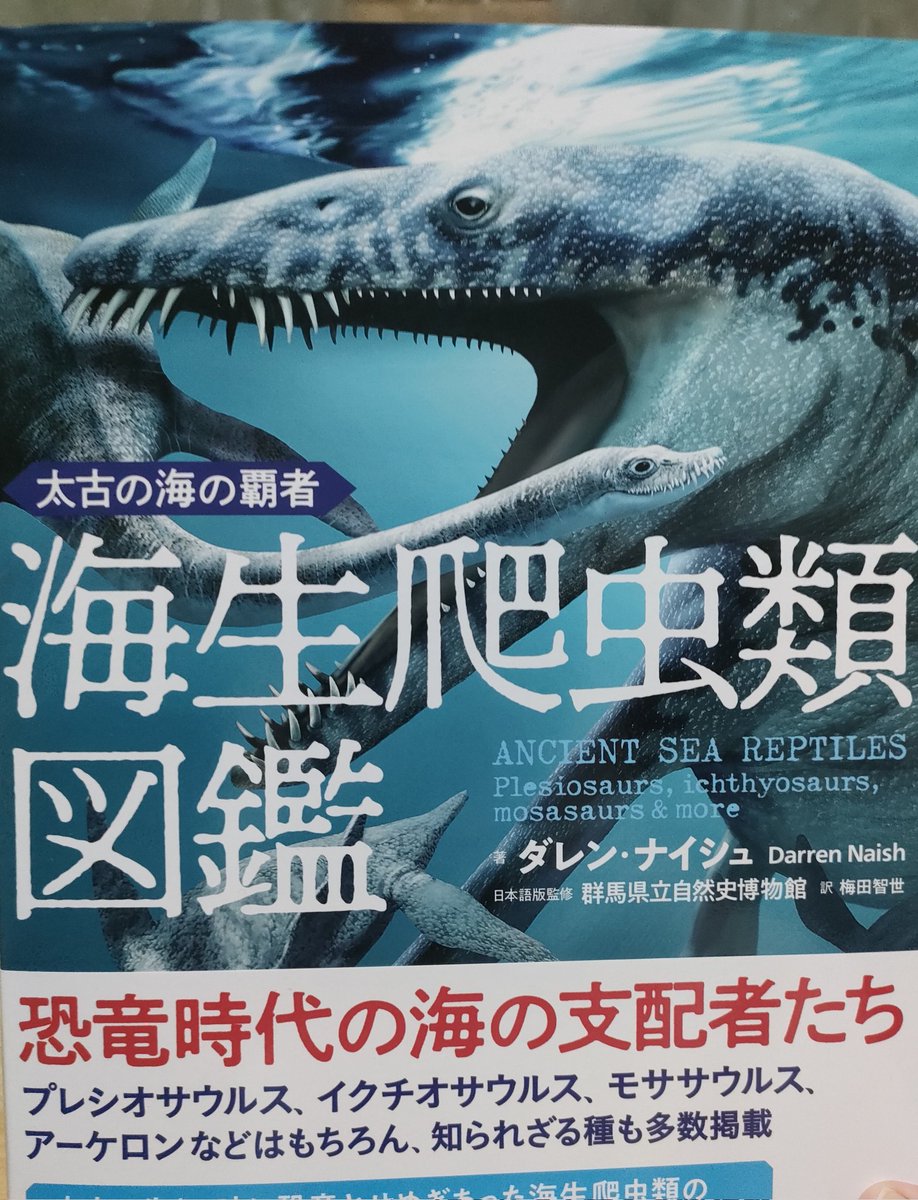 Lazy・スタンバーグ tweet media