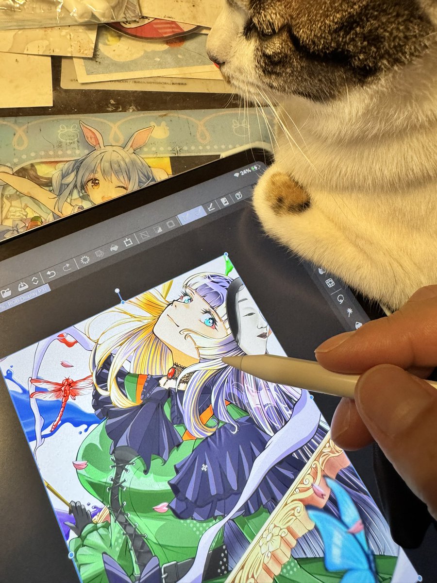 にゃんこさん❤️ 新入りにゃんこが応援してくれてるのか、邪魔してるだけなのか