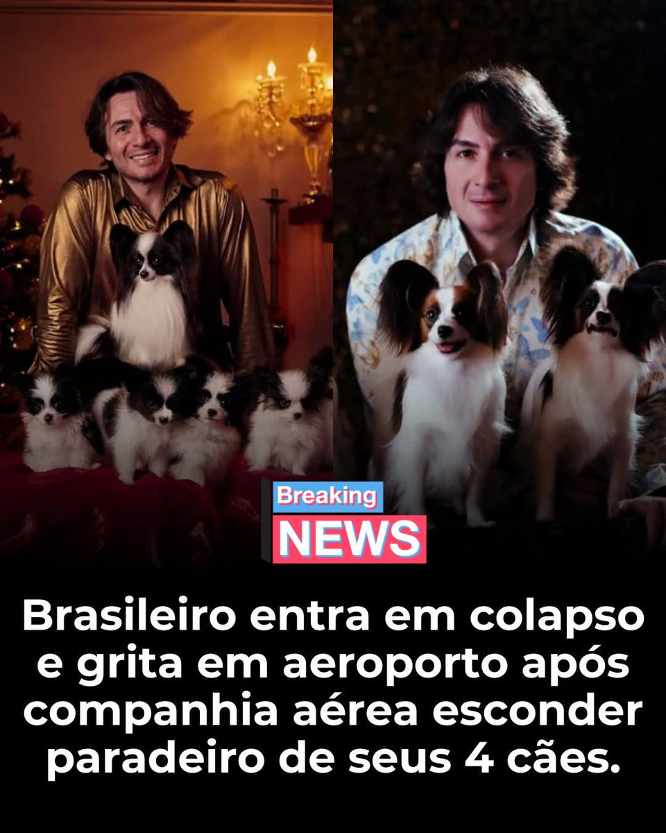 iti malias tweet media