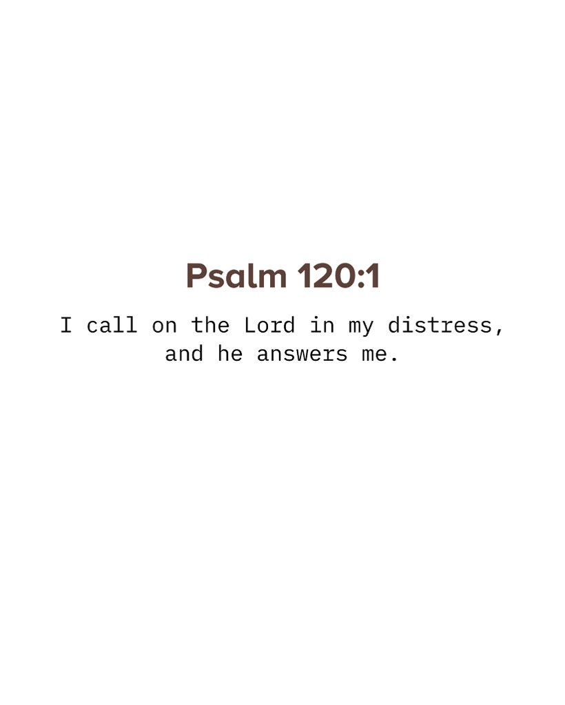 Holy Bible tweet media