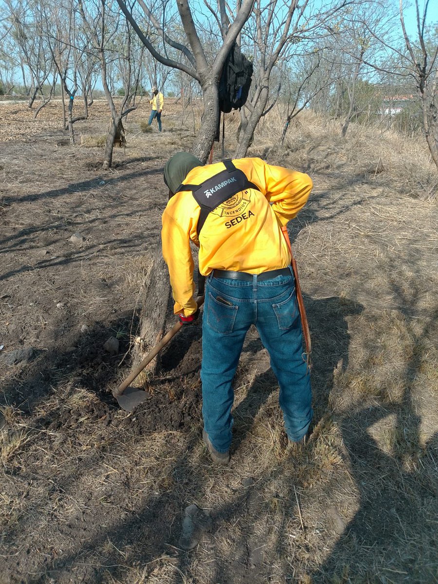 SedeaQro's tweet photo. El equipo de las brigadas forestales de la #SEDEA realizó labores de limpieza y desmalezado en el Parque Querétaro 2000. Queremos que cada rincón de este espacio esté en perfectas condiciones para ti y tu familia. #AquíContigo 🌳 https://t.co/AGRAuDKFjb