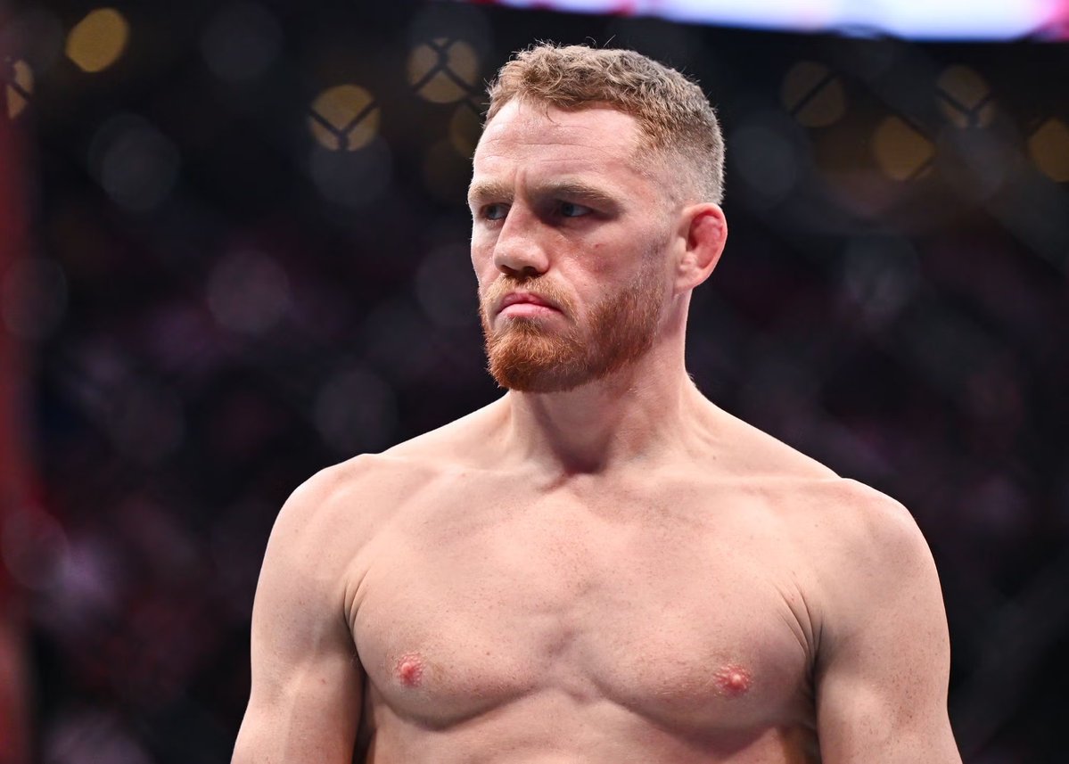 Left Hook MMA tweet media