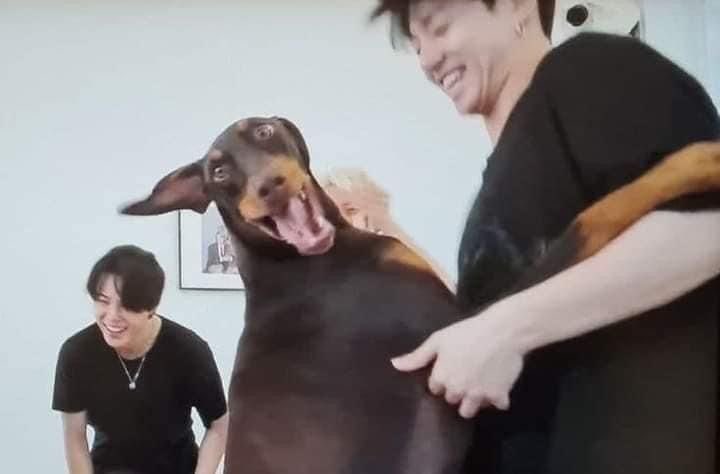 JJ 🌙 VAI VER O BTS tweet media