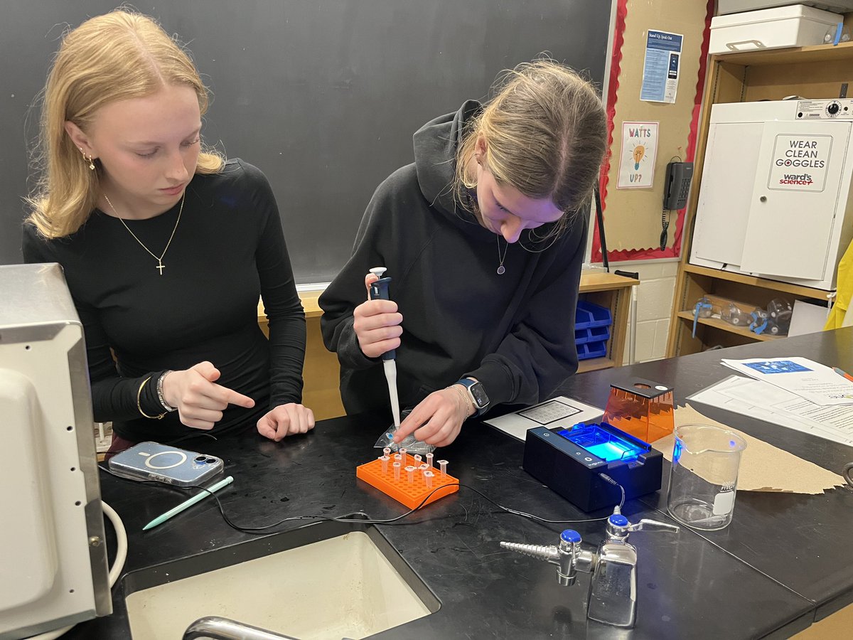 Lockerby Composite School tweet media