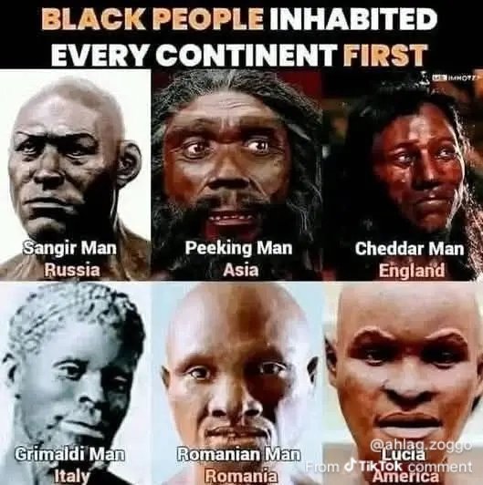Purely African tweet media