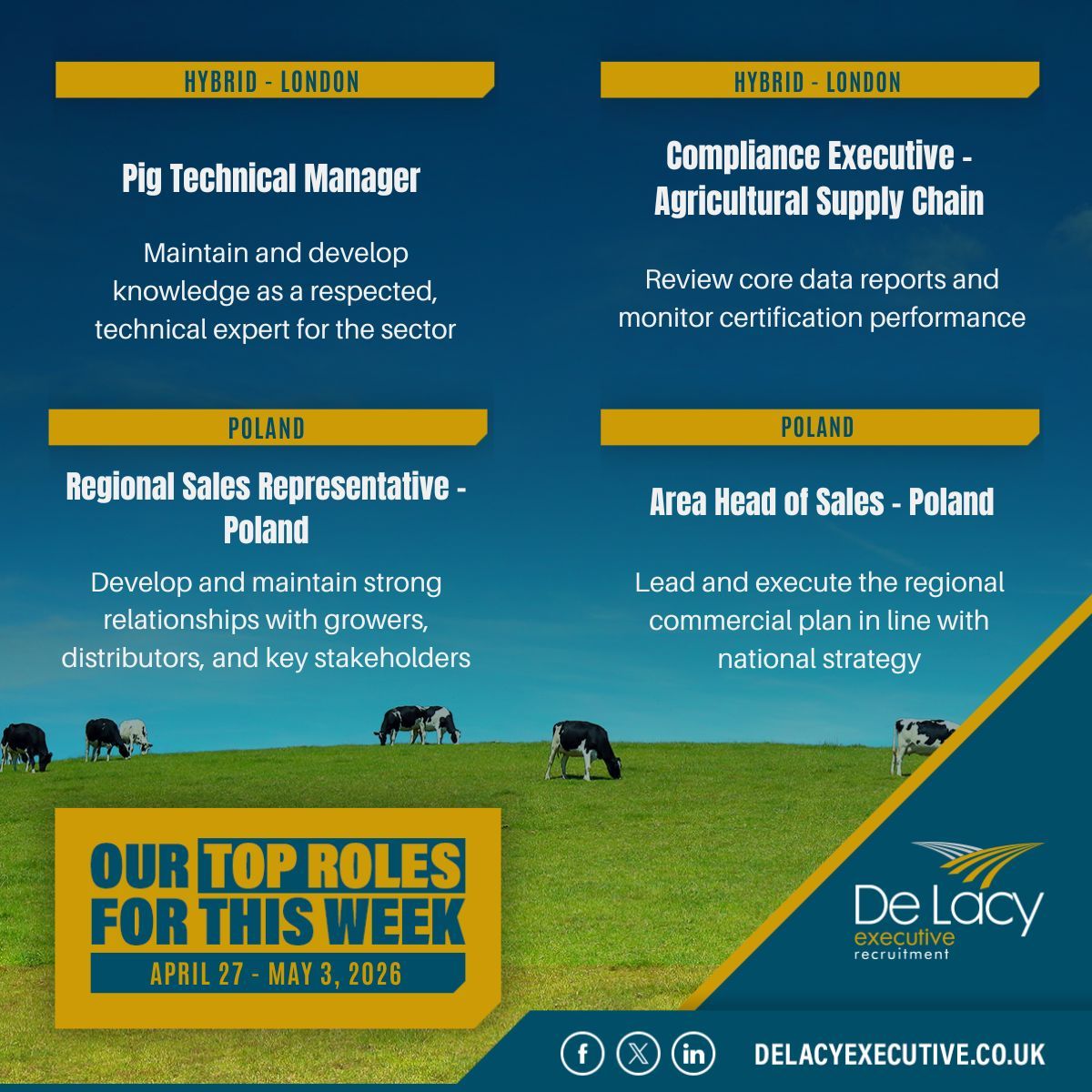 DeLacyExecutive's tweet image. Top Roles for This Week: April 27 - May 3, 2026!

There are plenty of opportunities available, from a Pig Technical Manager to an Area Head of Sales - Poland, these are our Top Roles of the week! 

Explore these careers and more: delacyexecutive.co.uk/job-seekers/jo…

#Hiring