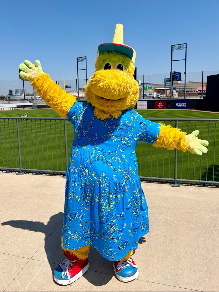 Chicago Dogs tweet media