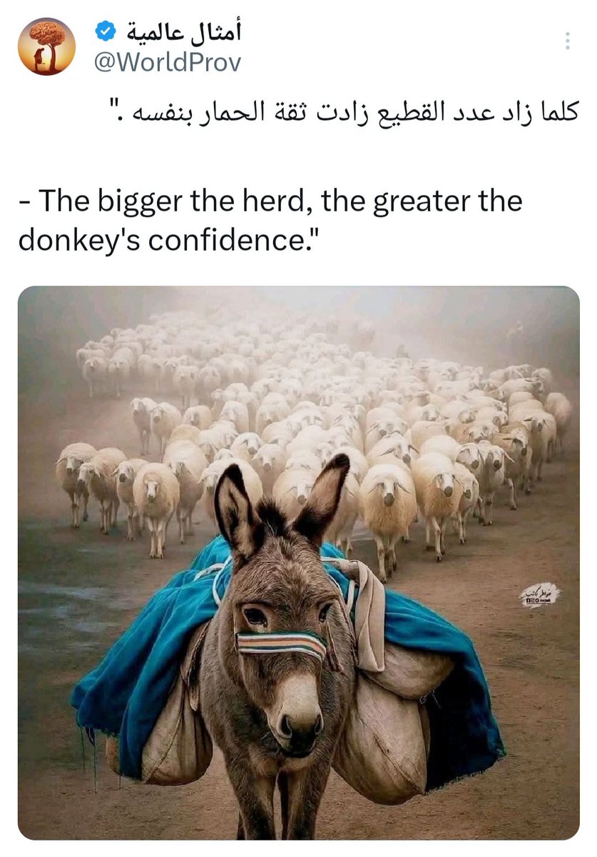 #مزرعة_لبنان