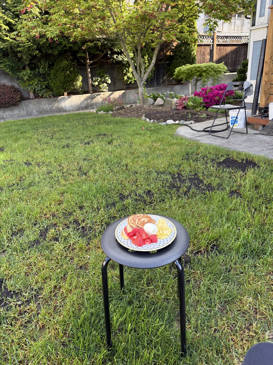 Breakfast in the backyard.