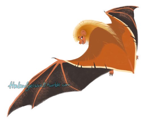 ferret! 💛🦇 (#1 BAT LOVER) tweet media