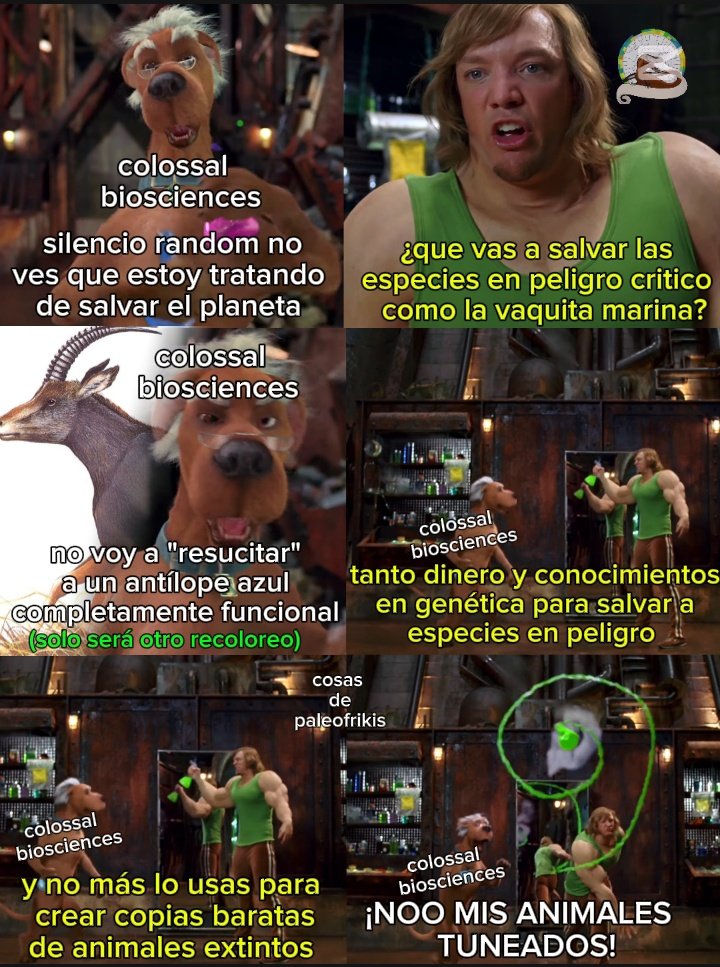 cosas de paleofrikis tweet media