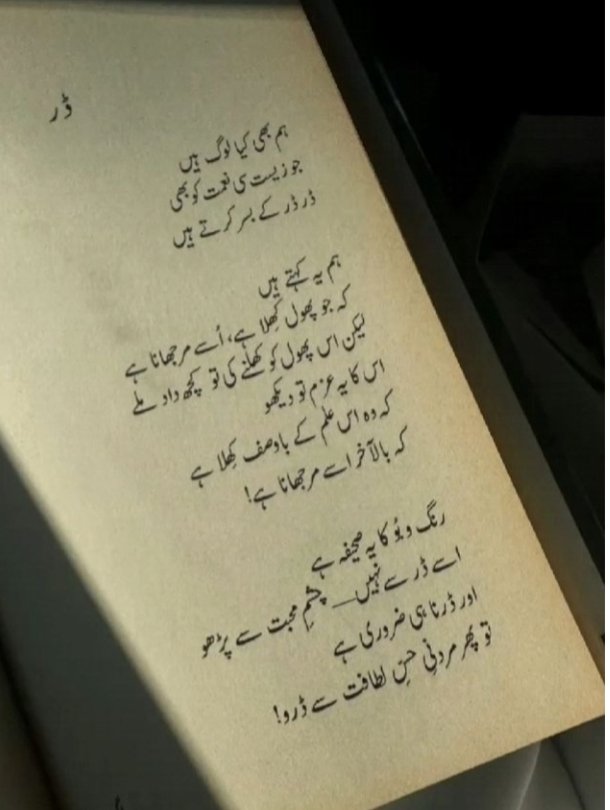 آئینہ حیدر tweet media