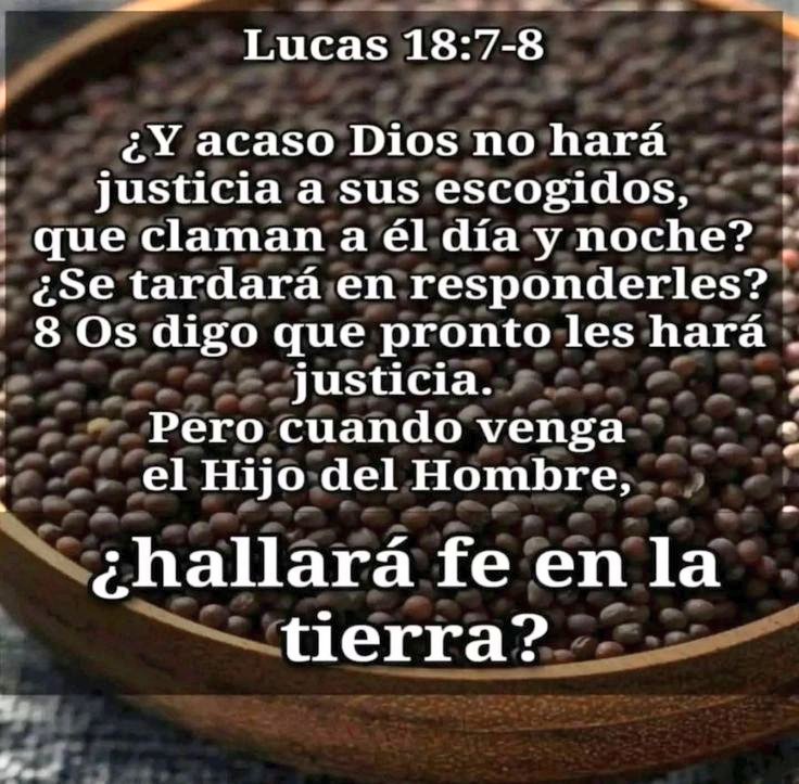 Lucas:18:1.📖🔥✨
También les refirió Jesús 🙌 una Parábola sobre La Necesidad de Orar siempre 🙌
Y nó desmayar😌 🙌 ✨