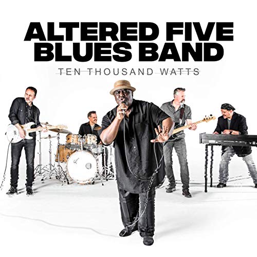 Motown Fats tweet media