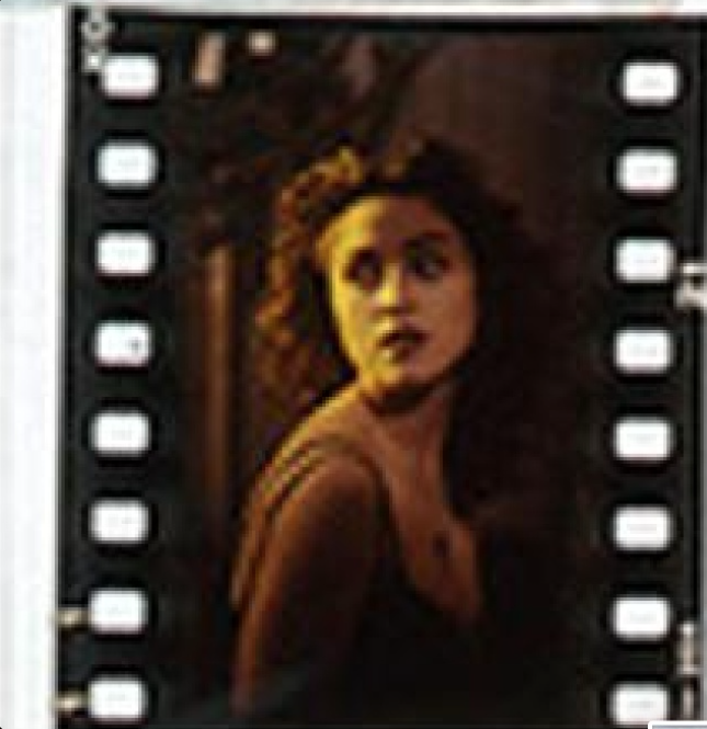 Madonna Revolution Archives tweet media
