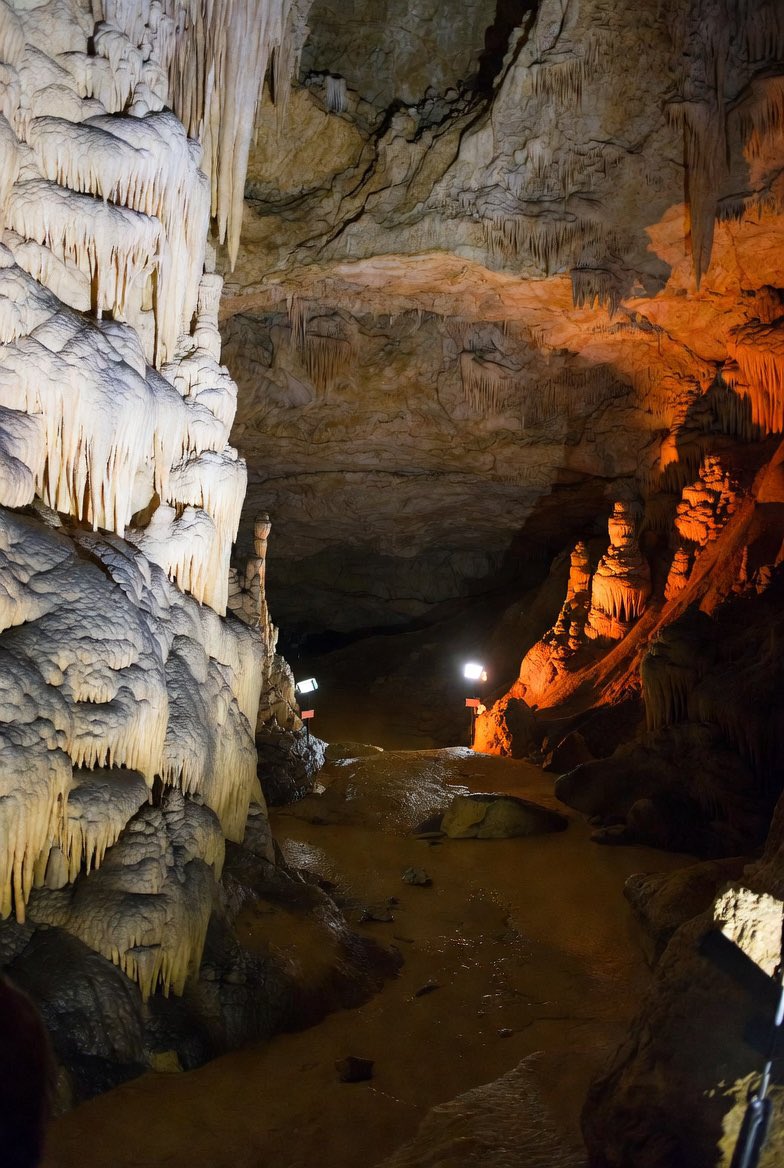 nkitevski's tweet image. Рајкова пећина 🇷🇸 44°26'28.99"N 21°57'10.76"E #cave