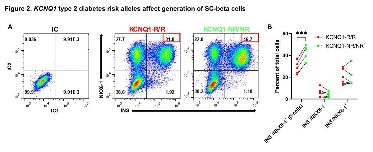 ADA_Pubs's tweet image. Individuals carrying KCNQ1 risk alleles for type 2 diabetes will likely benefit from therapeutics that increase pancreatic β-cell mass. #Diabetes #Article

Read here ➡️ doi.org/10.2337/db25-0…

@AmDiabetesAssn @ADA_DiabetesPro