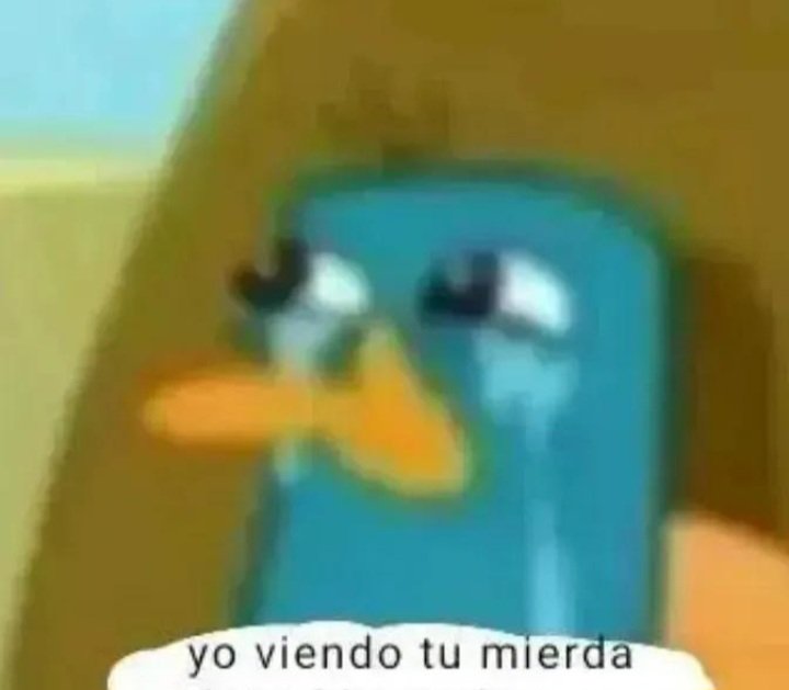 Fuegoncio tweet media