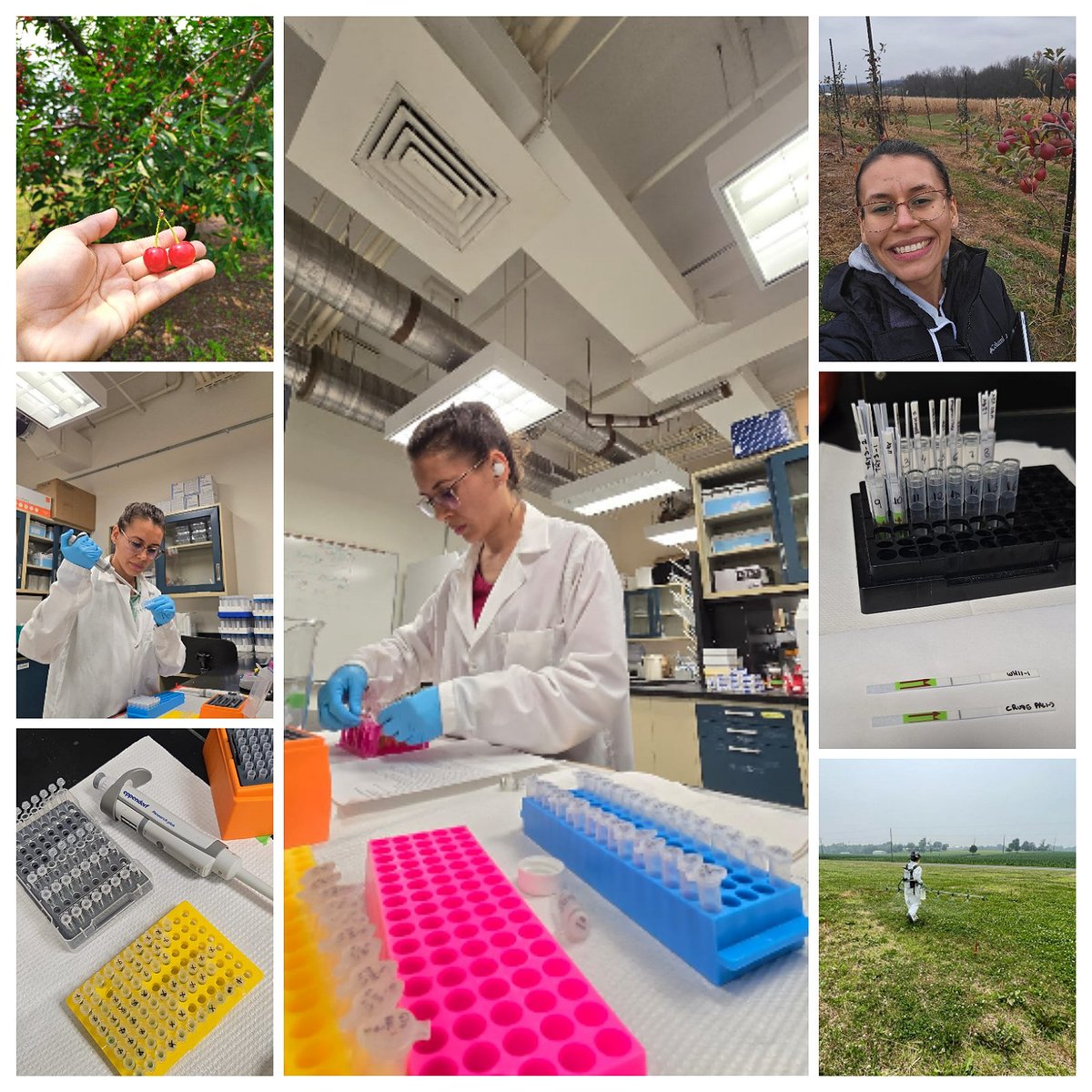 ivana_moisinho's tweet image. Nearly three years at @penn_state, that taught me a lot. I'm leaving with a full heart and sharpened toolkit, ready to see what the future holds! 🚀🌱
#weedscience #research #genomics