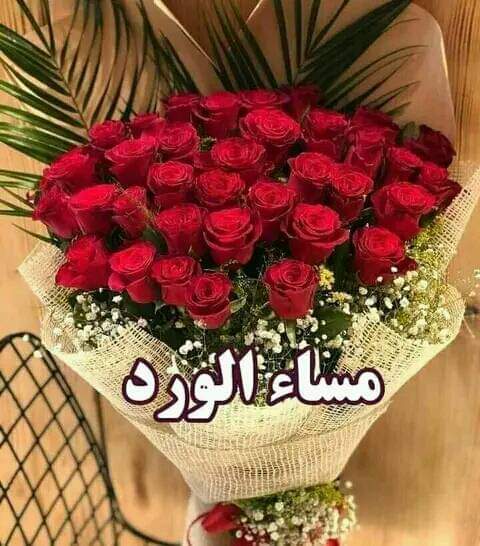 Abomalak tweet media