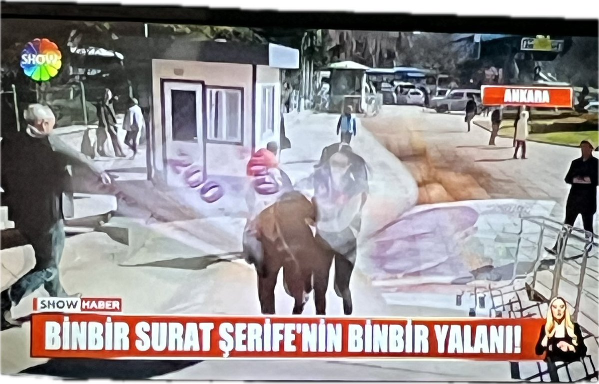 serifenizm tweet media