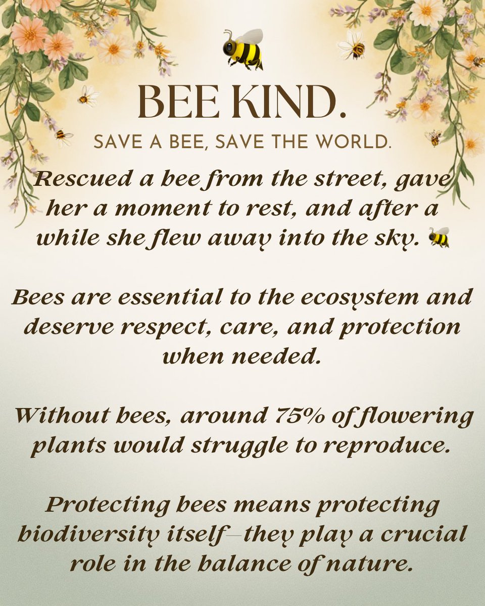 estherracah's tweet image. 🐝˚ ༘ ೀ⋆｡˚
#savethebees #bees #pollinators #biodiversity #naturelovers