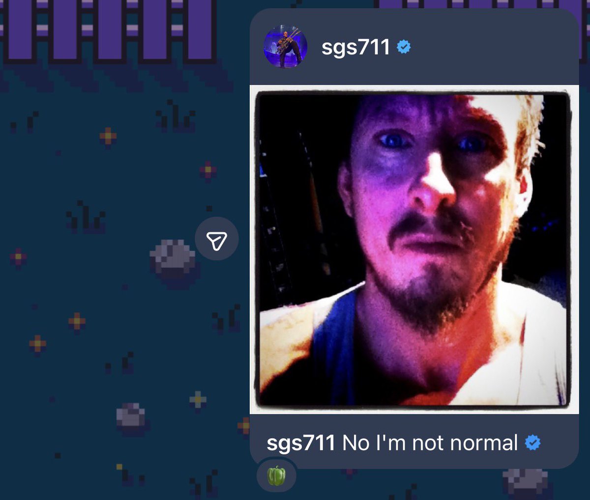daily scott shriner tweet media