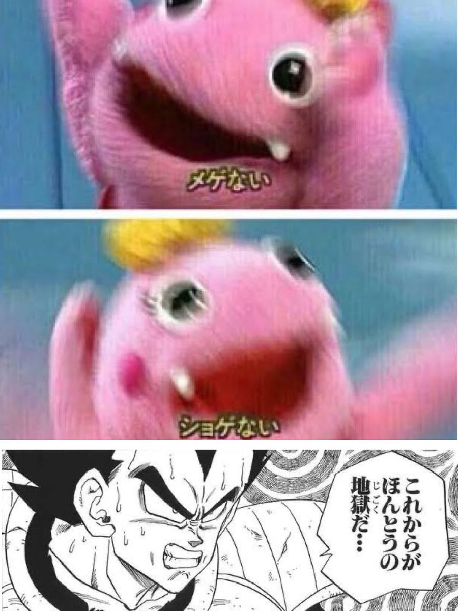 まゆげ商人☄️ tweet media