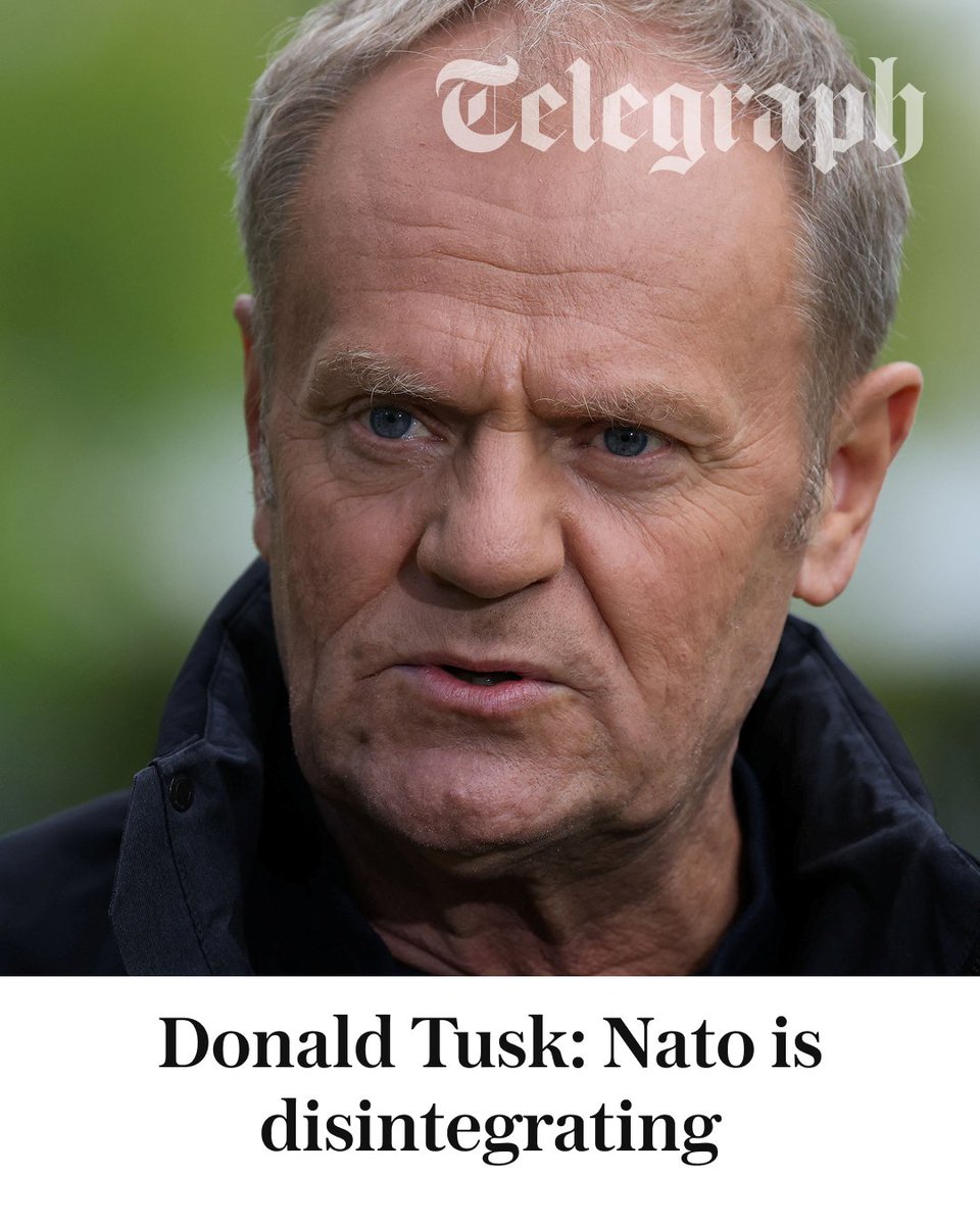 The Telegraph tweet media