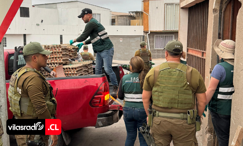VilasRadio's tweet photo. ⭕️ DETECTAN Y DESMANTELAN PUNTO CLANDESTINO DE ACOPIO AGROPECUARIO EN ALTO HOSPICIO

💻 Revisa la nota completa aquí:
https://t.co/AudnTFkI9f

#Chile #Tarapacá #AltoHospicio #SAG #CentroAcopio #Incautación #ControlSanitario https://t.co/HwrYma7lh6