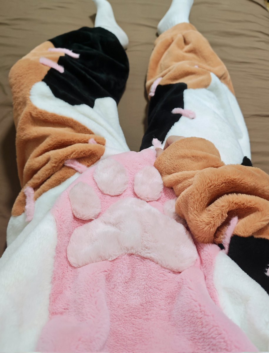 Iiyo_133's tweet photo. #今日の着ぐパ https://t.co/lLnTFG7DMs