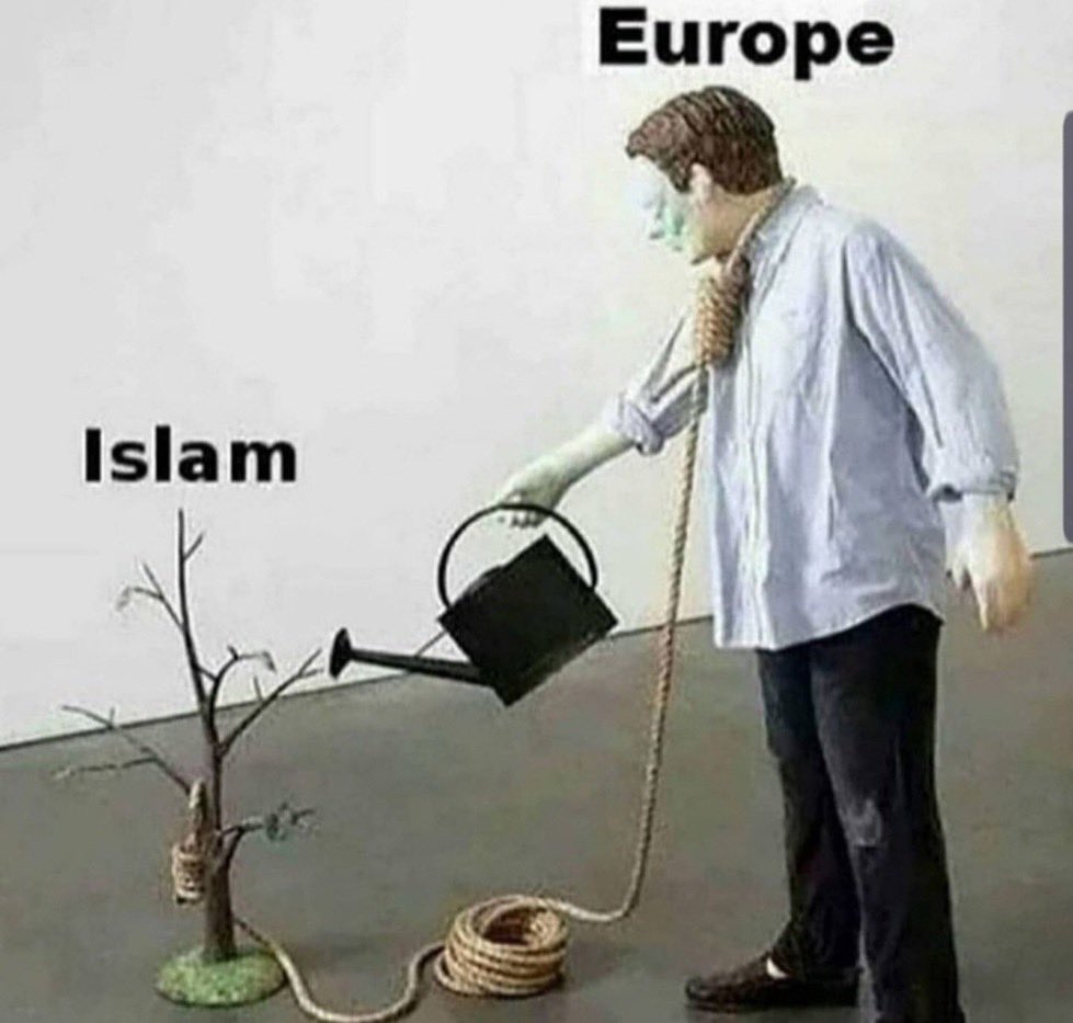 🎗️Israel 4 ever🎗️ tweet media