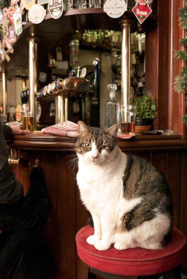 Britain's Lost & Living Pubs tweet media