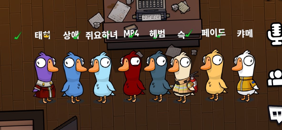 안쥐요 tweet media