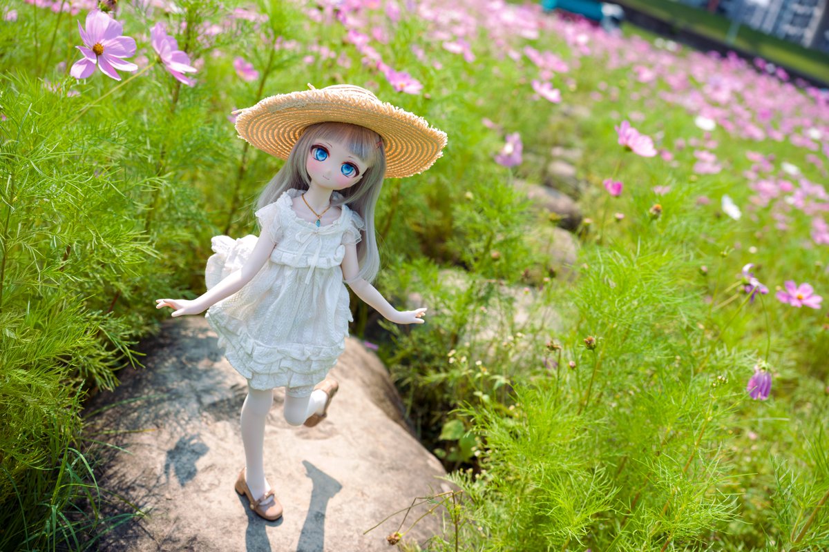 rinto さん専用 Post by RINTO on X: 🌼