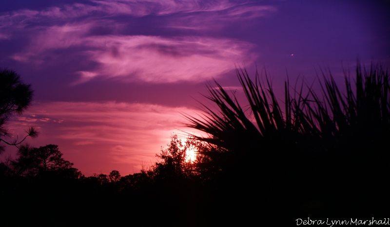 BeautyofFL's tweet image. #sunset #sunsetmemories #Florida #purple #nightsky #pretty #beautiful #LOVE