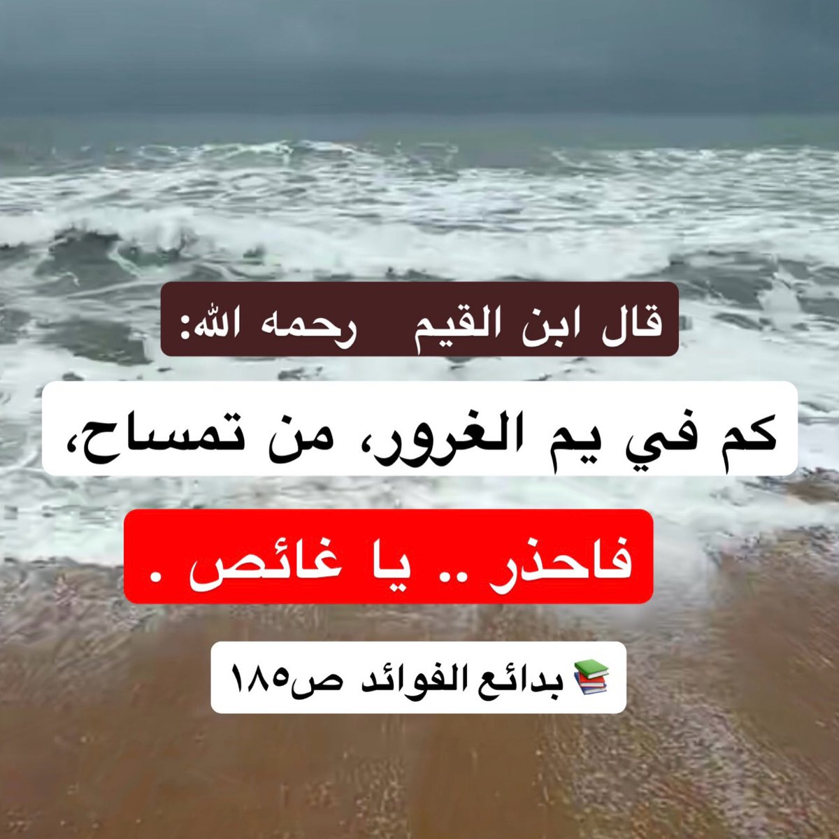 السلفية منهج حق tweet media