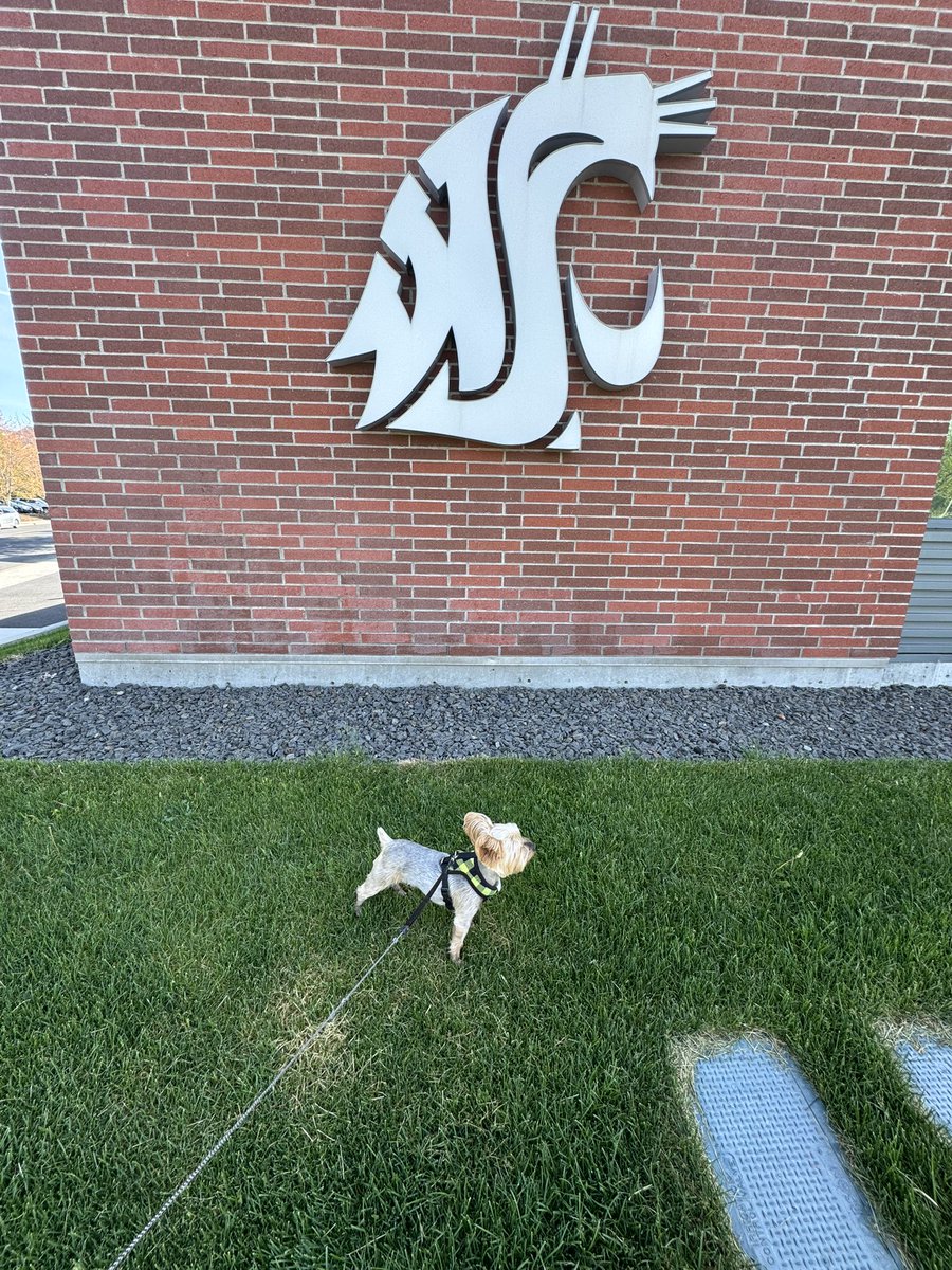 CupDustin's tweet photo. That’s a wrap for year one, as a @WSUCougars Dance Dad. Looking forward to being back in the fall for @WSUCougarFB. Have a Great @summer. #gocougs #wsu #dancedad #crimsongirls https://t.co/DXZjZUzJJA