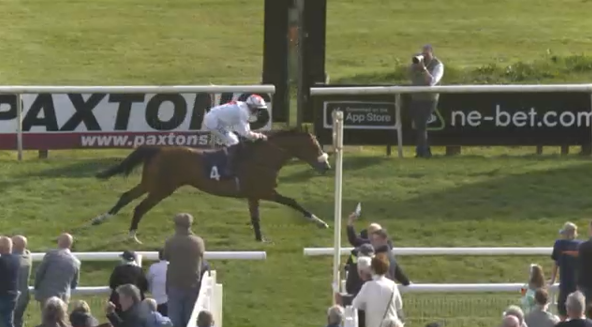 Racing Point Tips 🏇 tweet media