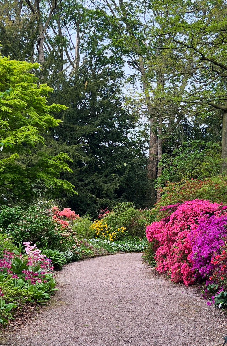 D_Elle_530's tweet image. The gardens looking beautiful at hodnet hall yesterday #shropshire