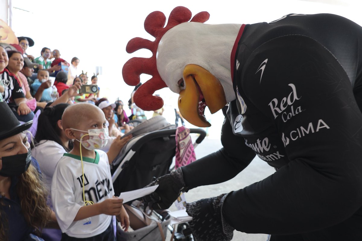 Gallos Blancos 🐓 tweet media