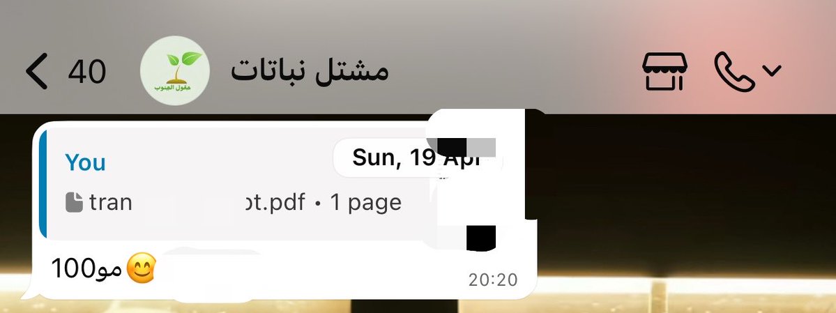بلومر tweet media