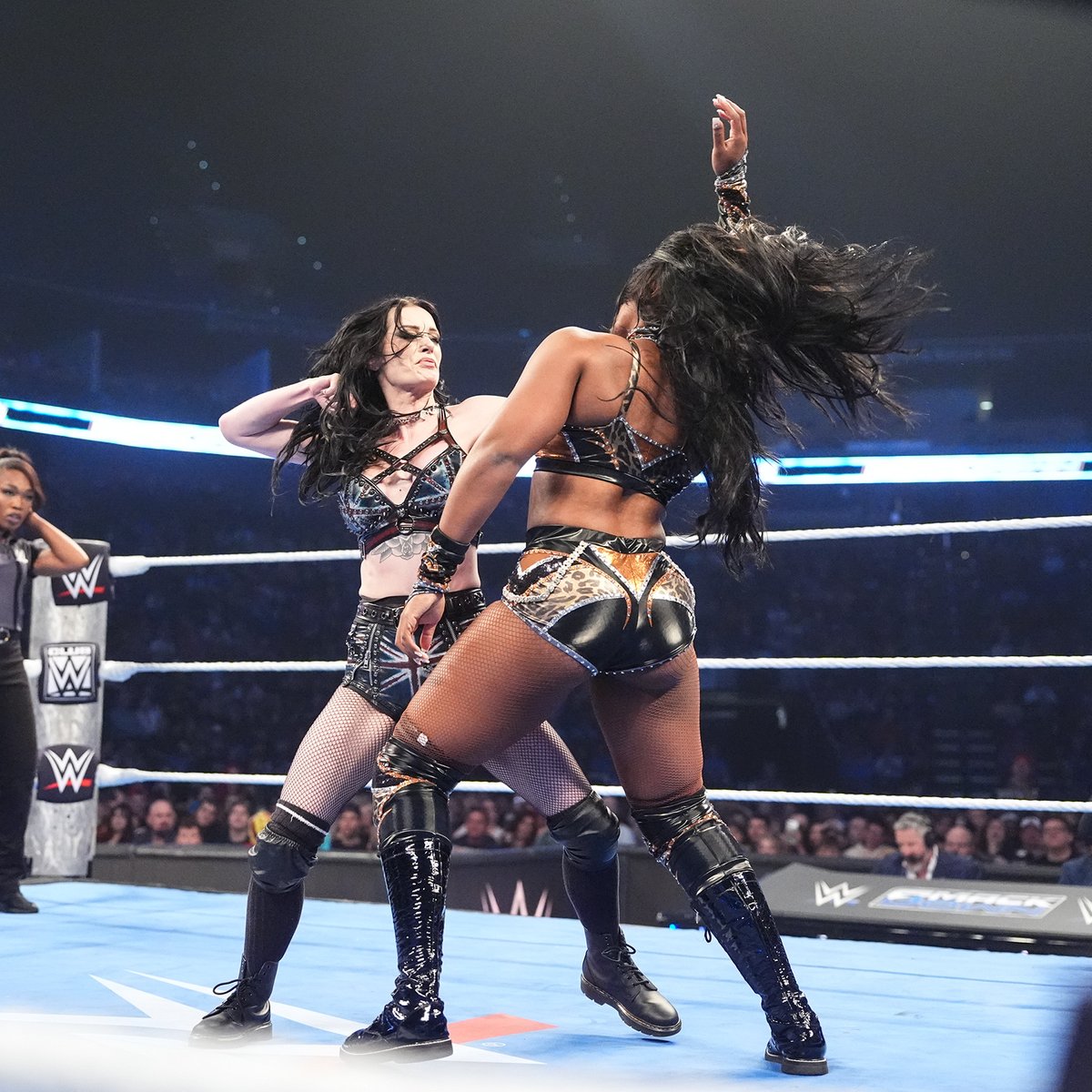 Saraya / Paige Universe tweet media