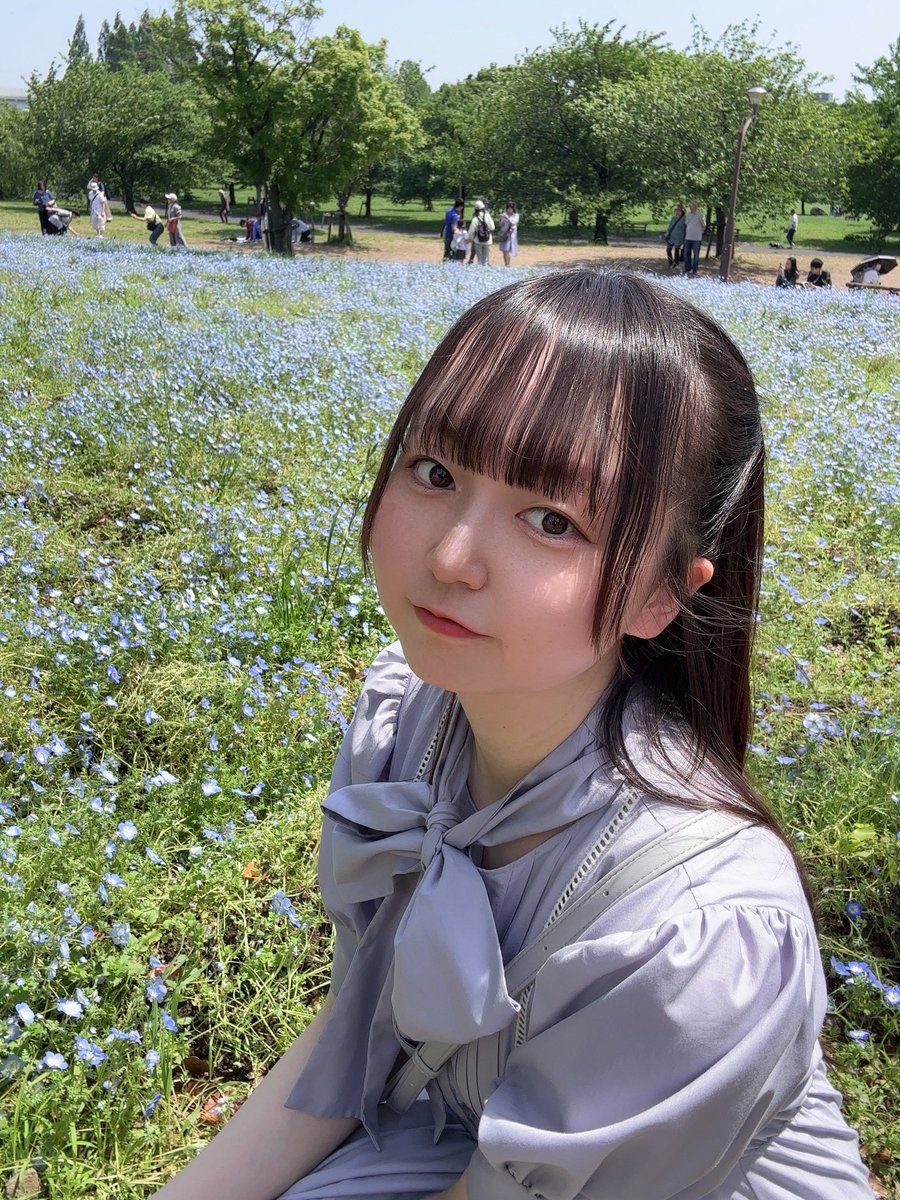 ネモフィラいてきた🩵 明日お待ちしてます！