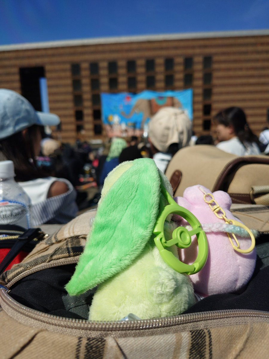 ちこれ tweet media
