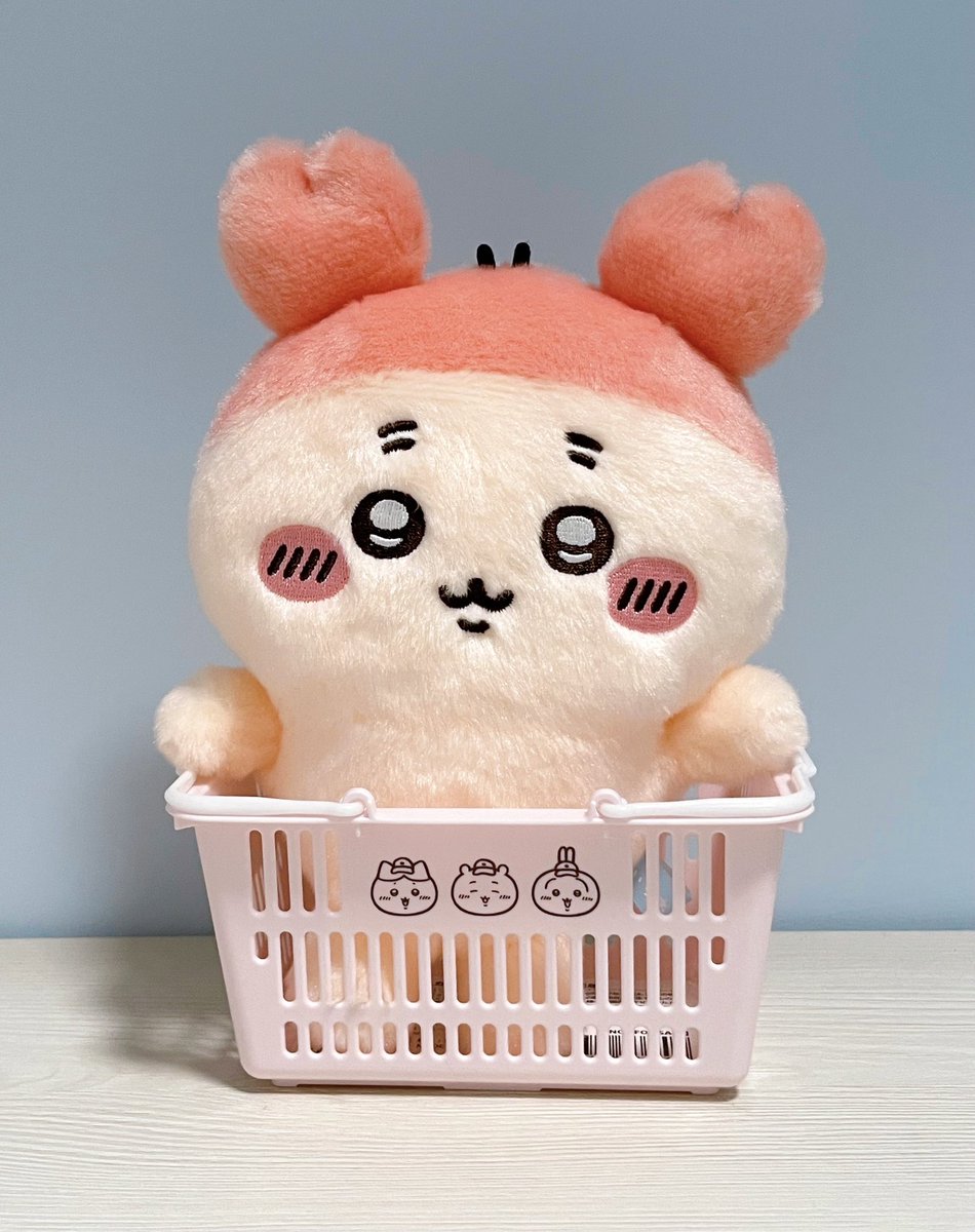 カニちゃん、そのカゴ気に入ってるみたい🩵🧺